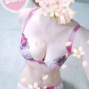 ヒメ日記 2025/04/30 14:10 投稿 もな 錦糸町ミセスアロマ（ユメオト）