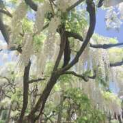 ヒメ日記 2025/05/03 18:08 投稿 もな 錦糸町ミセスアロマ（ユメオト）