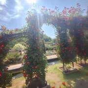 ヒメ日記 2025/05/04 18:04 投稿 もな 錦糸町ミセスアロマ（ユメオト）