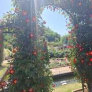 ヒメ日記 2025/05/04 18:11 投稿 もな 錦糸町ミセスアロマ（ユメオト）