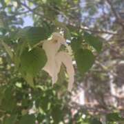 ヒメ日記 2025/05/16 09:38 投稿 もな 錦糸町ミセスアロマ（ユメオト）