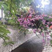 ヒメ日記 2025/06/08 09:38 投稿 もな 錦糸町ミセスアロマ（ユメオト）