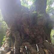 ヒメ日記 2025/06/09 00:15 投稿 もな 錦糸町ミセスアロマ（ユメオト）