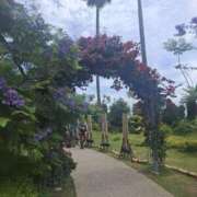 ヒメ日記 2025/06/09 08:55 投稿 もな 錦糸町ミセスアロマ（ユメオト）