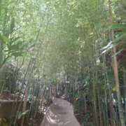 ヒメ日記 2025/06/18 10:01 投稿 もな 錦糸町ミセスアロマ（ユメオト）