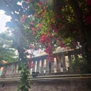 ヒメ日記 2025/06/22 10:54 投稿 もな 錦糸町ミセスアロマ（ユメオト）