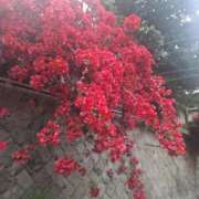 ヒメ日記 2025/06/26 08:51 投稿 もな 錦糸町ミセスアロマ（ユメオト）