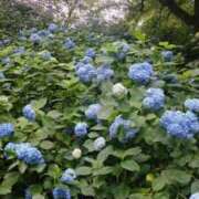 ヒメ日記 2025/06/28 09:17 投稿 もな 錦糸町ミセスアロマ（ユメオト）