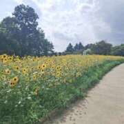 ヒメ日記 2025/08/03 10:21 投稿 もな 錦糸町ミセスアロマ（ユメオト）