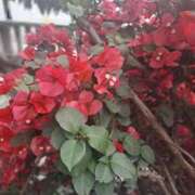 ヒメ日記 2025/08/07 10:29 投稿 もな 錦糸町ミセスアロマ（ユメオト）