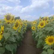 ヒメ日記 2025/08/28 10:51 投稿 もな 錦糸町ミセスアロマ（ユメオト）