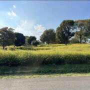 ヒメ日記 2025/10/02 10:25 投稿 もな 錦糸町ミセスアロマ（ユメオト）