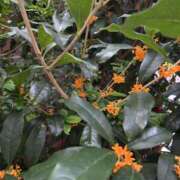 ヒメ日記 2025/10/27 12:15 投稿 もな 錦糸町ミセスアロマ（ユメオト）