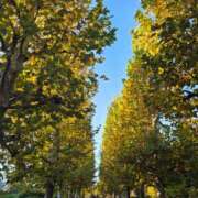 ヒメ日記 2025/11/05 09:35 投稿 もな 錦糸町ミセスアロマ（ユメオト）