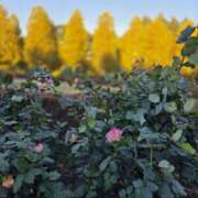 ヒメ日記 2025/11/06 09:09 投稿 もな 錦糸町ミセスアロマ（ユメオト）