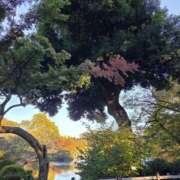 ヒメ日記 2025/11/11 09:10 投稿 もな 錦糸町ミセスアロマ（ユメオト）