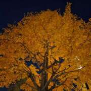 ヒメ日記 2025/11/17 17:07 投稿 もな 錦糸町ミセスアロマ（ユメオト）