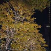 ヒメ日記 2025/11/19 19:37 投稿 もな 錦糸町ミセスアロマ（ユメオト）