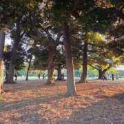 ヒメ日記 2025/11/23 11:04 投稿 もな 錦糸町ミセスアロマ（ユメオト）