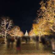 ヒメ日記 2025/11/29 00:46 投稿 もな 錦糸町ミセスアロマ（ユメオト）