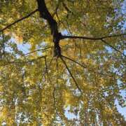 ヒメ日記 2025/12/04 16:34 投稿 もな 錦糸町ミセスアロマ（ユメオト）