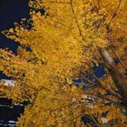 ヒメ日記 2025/12/05 10:40 投稿 もな 錦糸町ミセスアロマ（ユメオト）