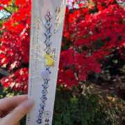 ヒメ日記 2025/12/20 09:38 投稿 もな 錦糸町ミセスアロマ（ユメオト）