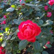 ヒメ日記 2026/02/10 08:56 投稿 もな 錦糸町ミセスアロマ（ユメオト）