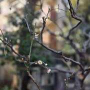 ヒメ日記 2026/02/13 11:01 投稿 もな 錦糸町ミセスアロマ（ユメオト）