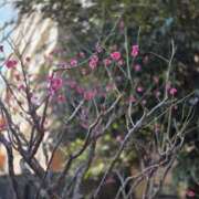 ヒメ日記 2026/02/19 09:18 投稿 もな 錦糸町ミセスアロマ（ユメオト）