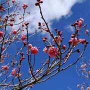 ヒメ日記 2026/02/23 08:41 投稿 もな 錦糸町ミセスアロマ（ユメオト）