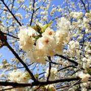 ヒメ日記 2026/03/19 09:40 投稿 もな 錦糸町ミセスアロマ（ユメオト）