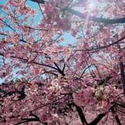 ヒメ日記 2026/03/22 08:43 投稿 もな 錦糸町ミセスアロマ（ユメオト）