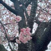 ヒメ日記 2026/03/28 22:02 投稿 もな 錦糸町ミセスアロマ（ユメオト）