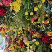 ヒメ日記 2026/03/29 11:01 投稿 もな 錦糸町ミセスアロマ（ユメオト）