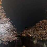 ヒメ日記 2026/03/31 08:53 投稿 もな 錦糸町ミセスアロマ（ユメオト）