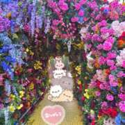 ヒメ日記 2026/04/08 13:35 投稿 もな 錦糸町ミセスアロマ（ユメオト）