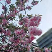 ヒメ日記 2026/04/15 23:37 投稿 もな 錦糸町ミセスアロマ（ユメオト）