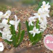 ヒメ日記 2026/04/20 20:16 投稿 もな 錦糸町ミセスアロマ（ユメオト）