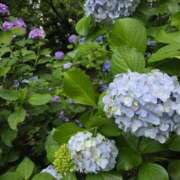 ヒメ日記 2026/06/14 09:01 投稿 もな 錦糸町ミセスアロマ（ユメオト）
