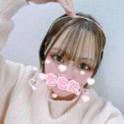 ヒメ日記 2025/04/09 15:18 投稿 百田(ももた) 八王子人妻城