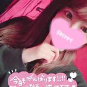 ヒメ日記 2024/12/13 11:50 投稿 ココロ バニーコレクション新潟店