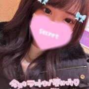 ヒメ日記 2025/02/05 09:32 投稿 ココロ バニーコレクション新潟店