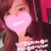 ヒメ日記 2025/03/08 09:57 投稿 ココロ バニーコレクション新潟店