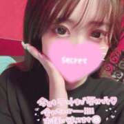 ヒメ日記 2025/04/11 14:01 投稿 ココロ バニーコレクション新潟店