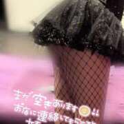 ヒメ日記 2025/04/15 18:59 投稿 ココロ バニーコレクション新潟店