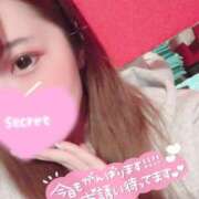 ヒメ日記 2025/04/17 09:58 投稿 ココロ バニーコレクション新潟店