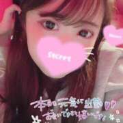 ヒメ日記 2025/05/12 16:50 投稿 ココロ バニーコレクション新潟店