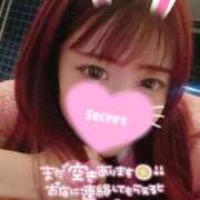 ヒメ日記 2025/05/15 19:25 投稿 ココロ バニーコレクション新潟店