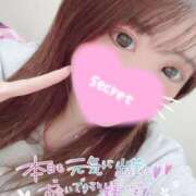 ヒメ日記 2025/05/21 13:28 投稿 ココロ バニーコレクション新潟店